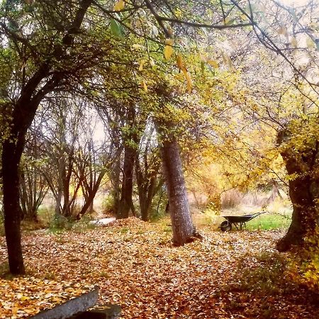 La Cabana De Gaia San Lorenzo de El Escorial Dış mekan fotoğraf